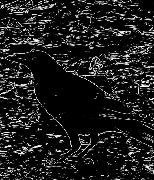 Crow Sticker 2.5”